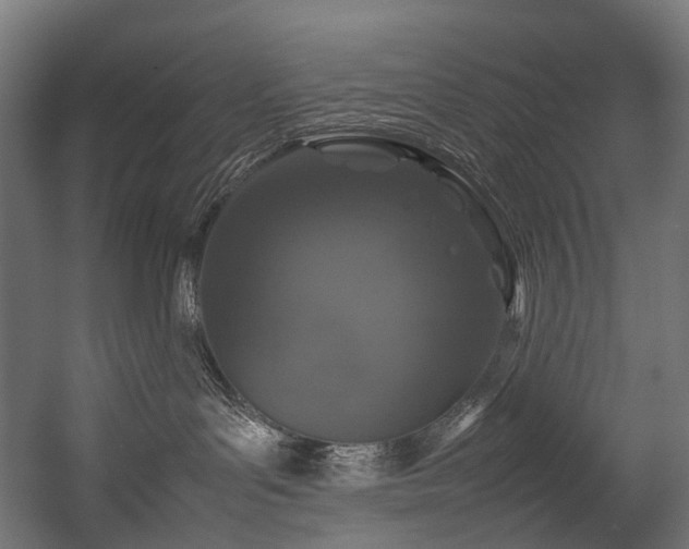 X0000054390143200507291153