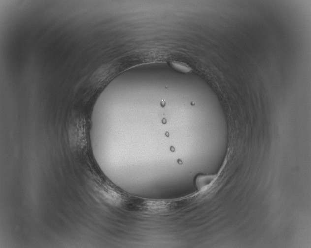 X0000054390144200507291153