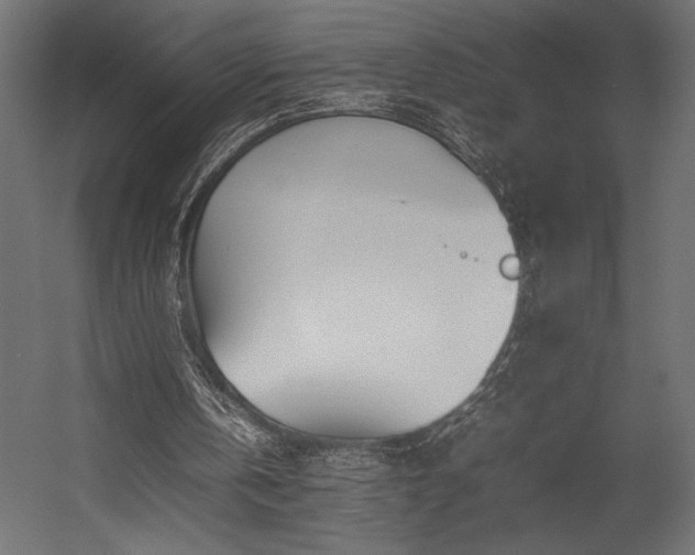 X0000054390146200507291152