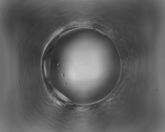X0000054390148200507291153