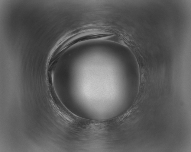 X0000054390150200507291153