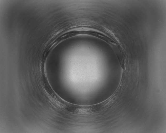 X0000054390154200507291153