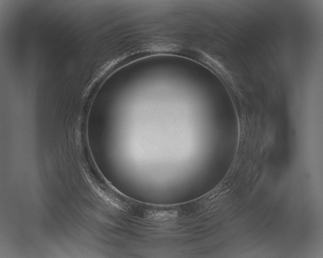 X0000054390155200507291153