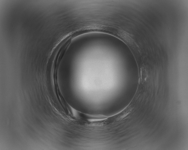 X0000054390156200507291153