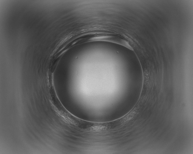 X0000054390158200507291153