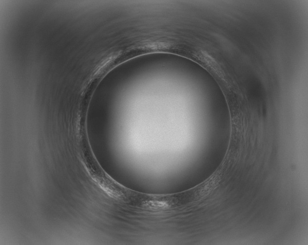 X0000054390159200507291153