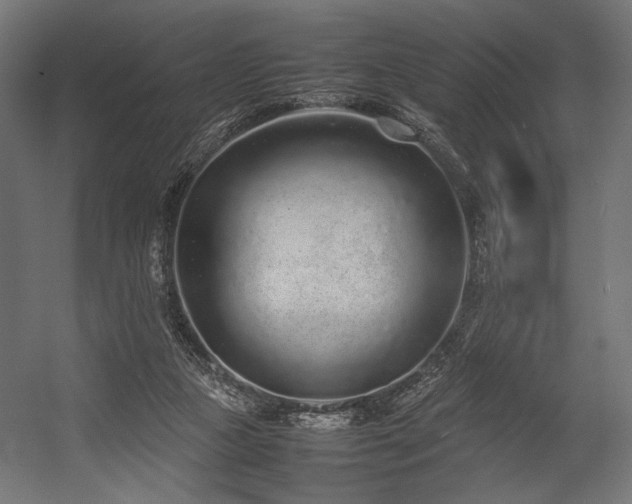 X0000054390161200507291153