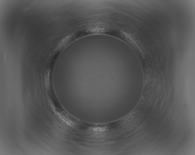 X0000054390163200507291153