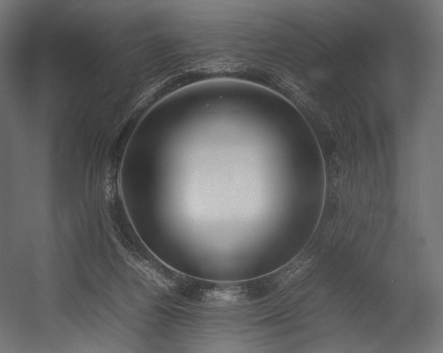 X0000054390164200507291153