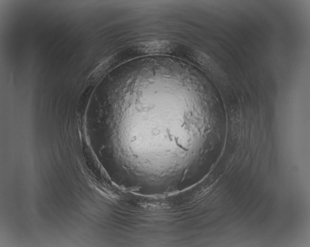 X0000054390165200507291153