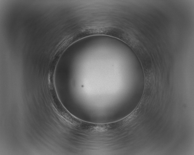 X0000054390166200507291153