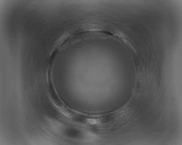 X0000054390167200507291153