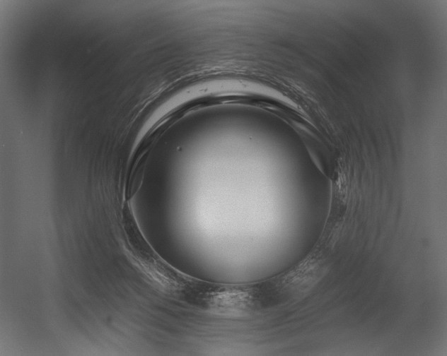 X0000054390168200507291153