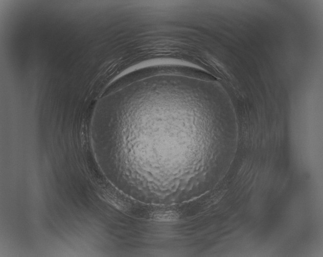 X0000054390169200507291153