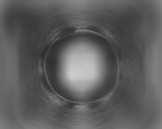 X0000054390170200507291153