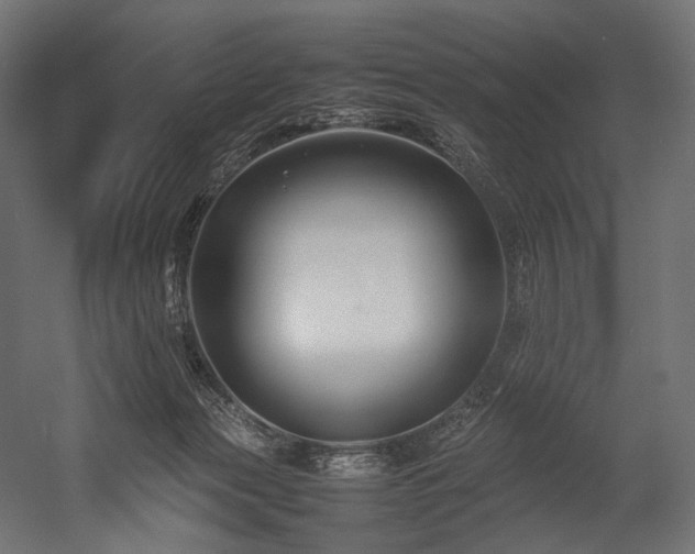 X0000054390173200507291153