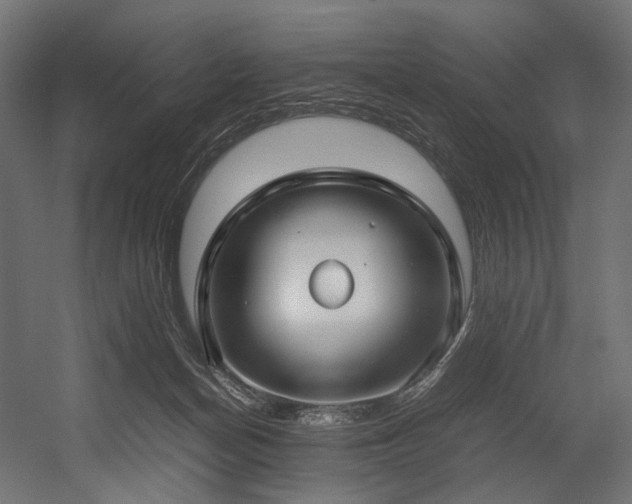 X0000054390174200507291153