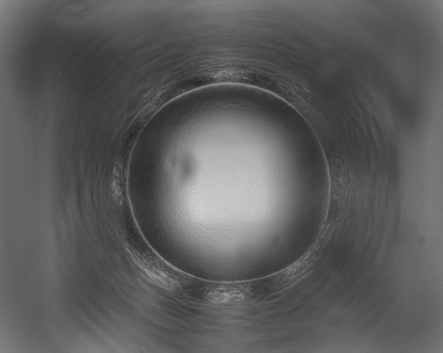 X0000054390175200507291153