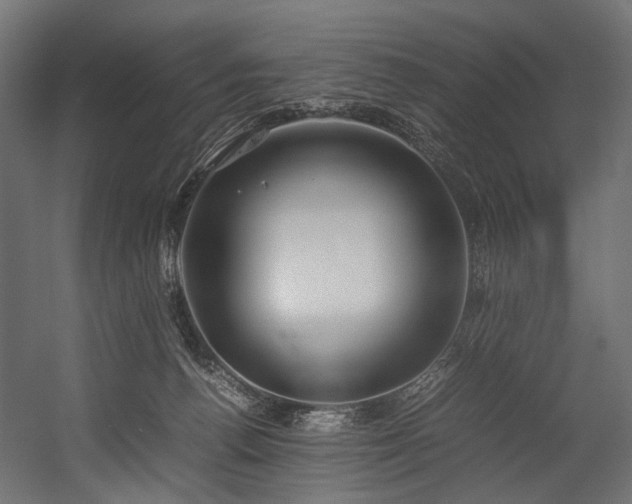 X0000054390176200507291153