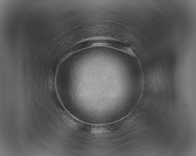 X0000054390177200507291153