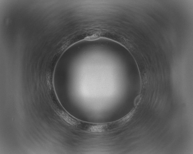 X0000054390178200507291153