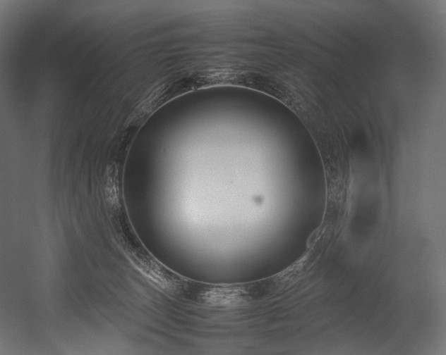 X0000054390179200507291153