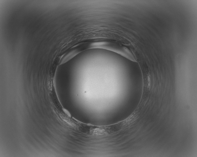 X0000054390180200507291153