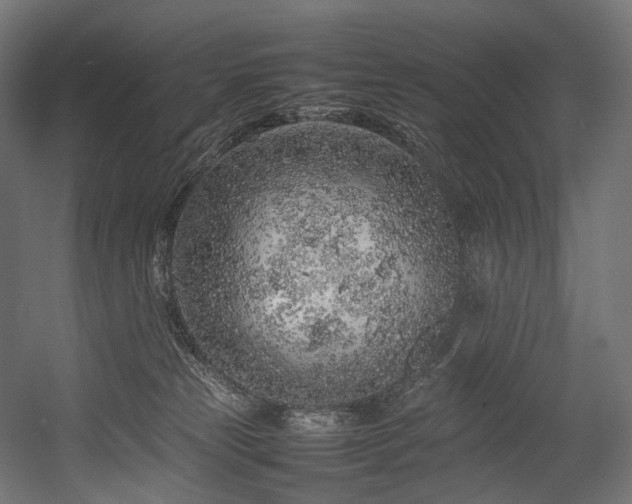 X0000054390181200507291153