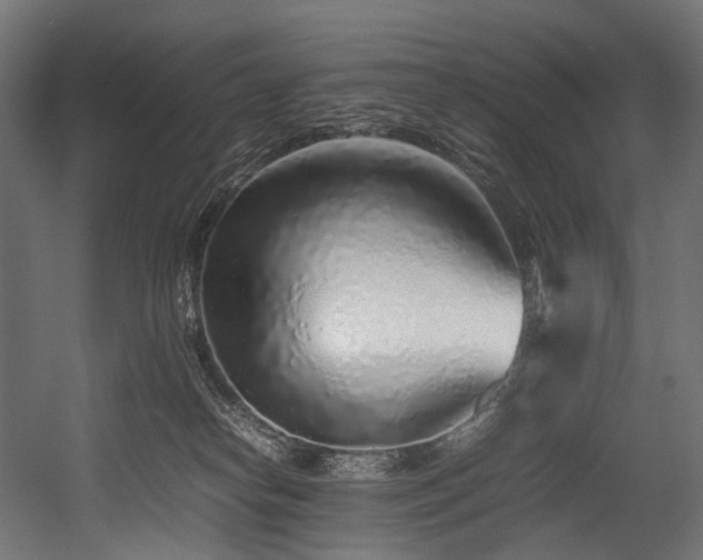 X0000054390182200507291153
