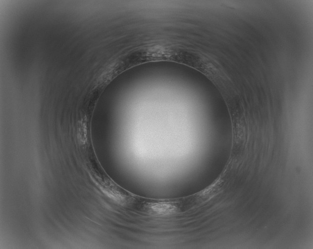 X0000054390183200507291153