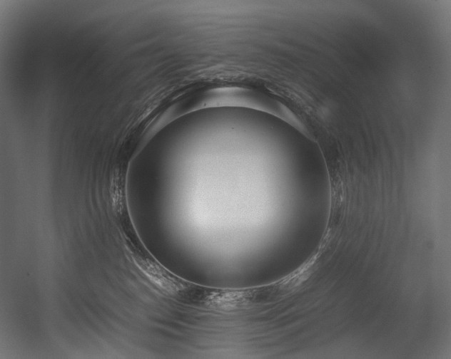 X0000054390186200507291153