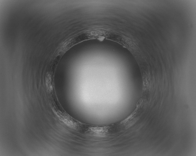 X0000054390187200507291153