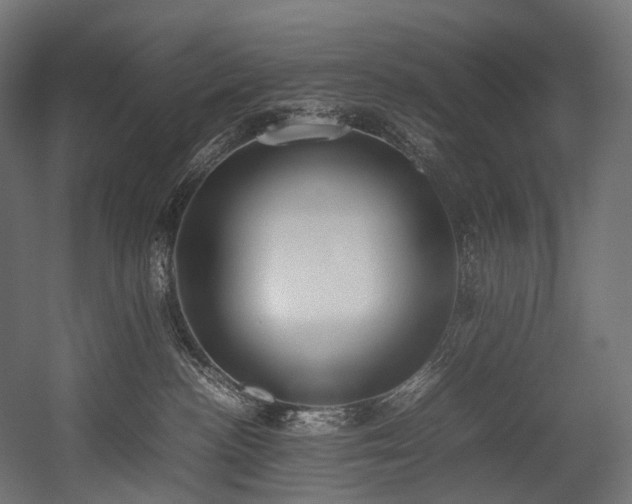 X0000054390188200507291153