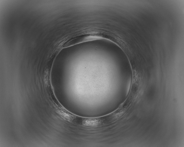 X0000054390189200507291153