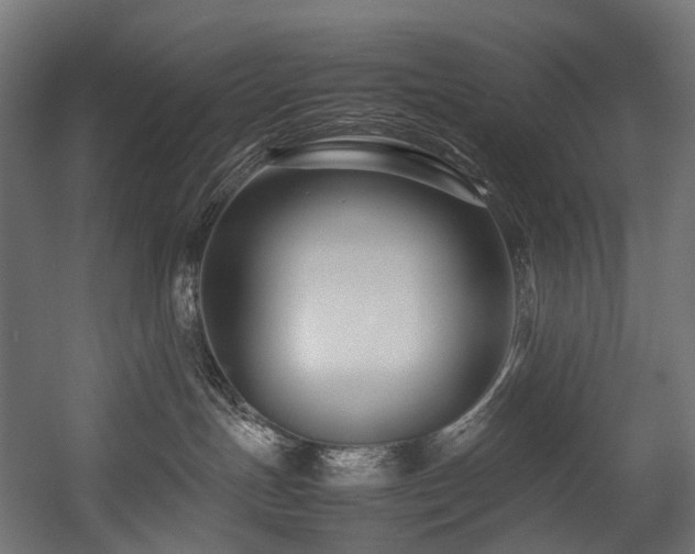 X0000054390191200507291153