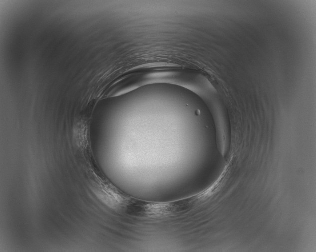 X0000054390192200507291153