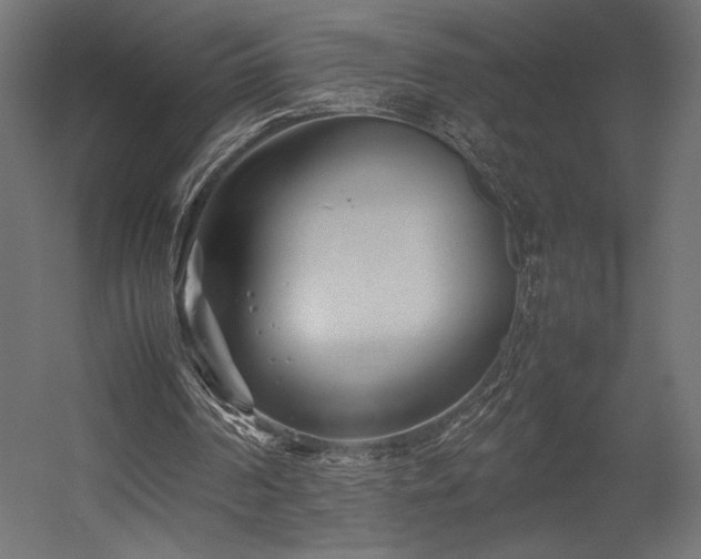 X0000054390194200507291152