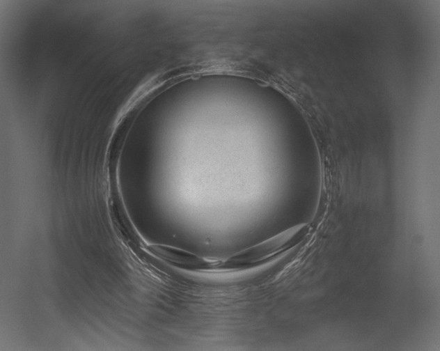 X0000054390198200507291152