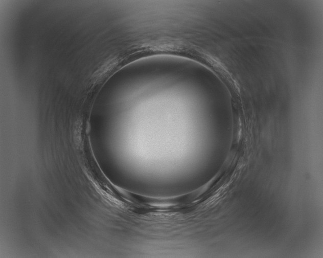 X0000054390201200507291152