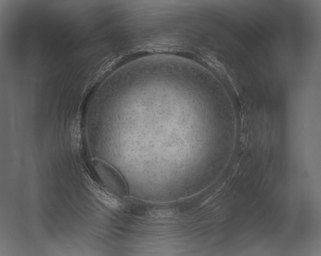 X0000054390202200507291152