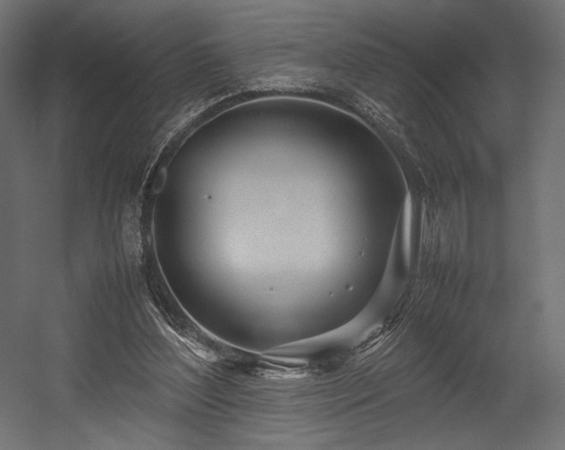 X0000054390204200507291152