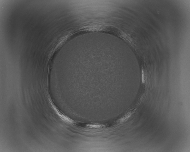 X0000054390205200507291152