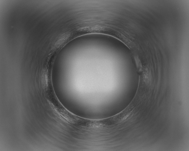 X0000054390206200507291152