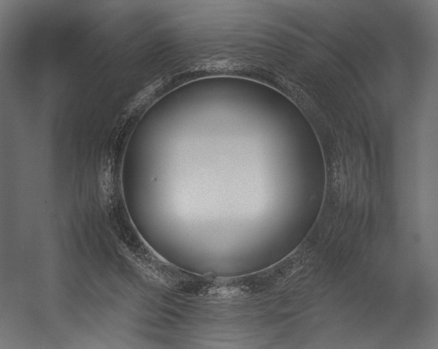 X0000054390208200507291152