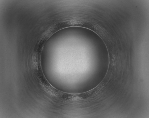 X0000054390210200507291152