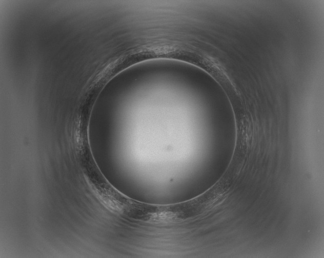 X0000054390212200507291152