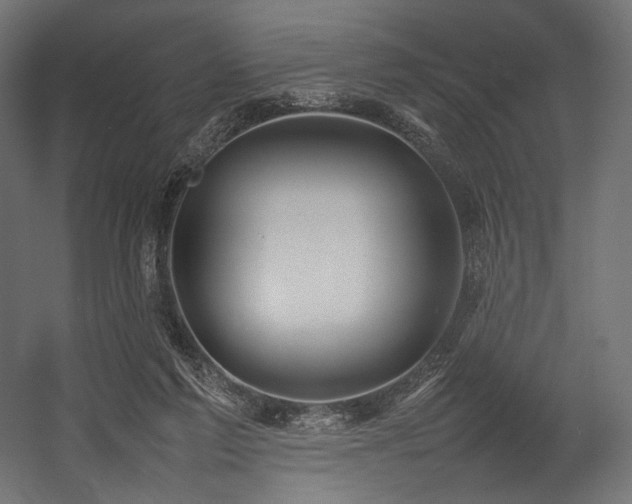 X0000054390213200507291152