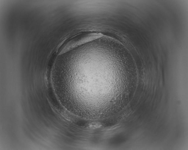 X0000054390214200507291152