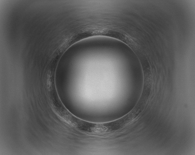X0000054390215200507291152
