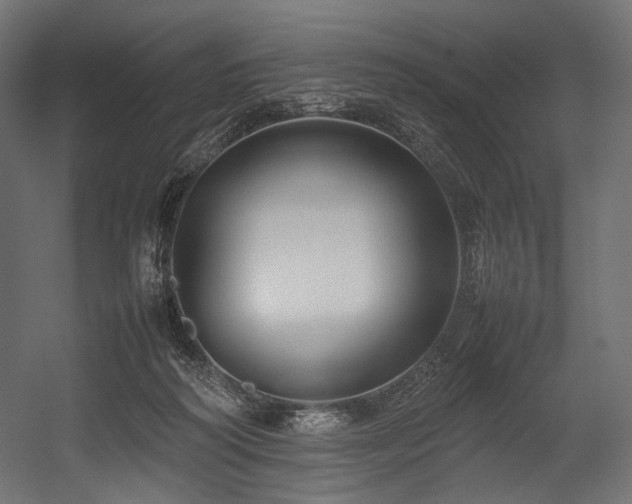 X0000054390218200507291152